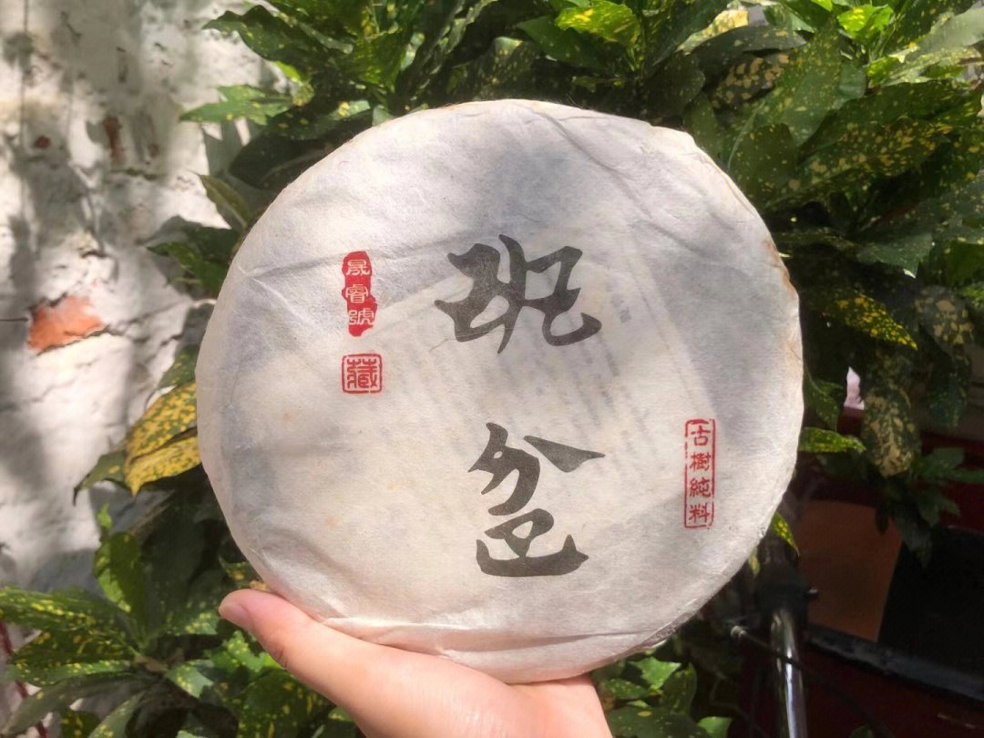 茶生活 班盆古树纯料:精选2019年布朗山班盆老寨为原料,纯手工精制