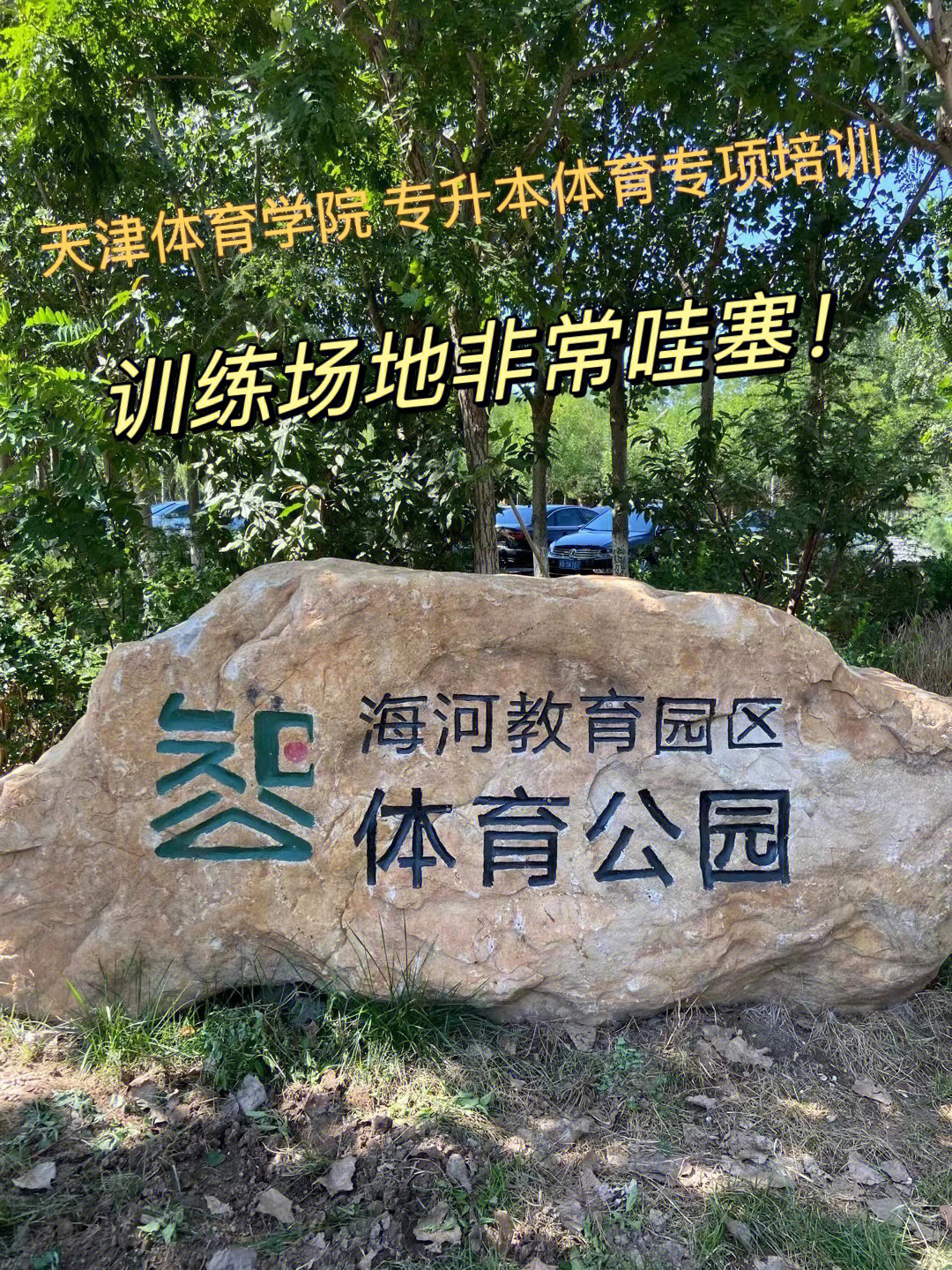 天津体育学院附属中学图片