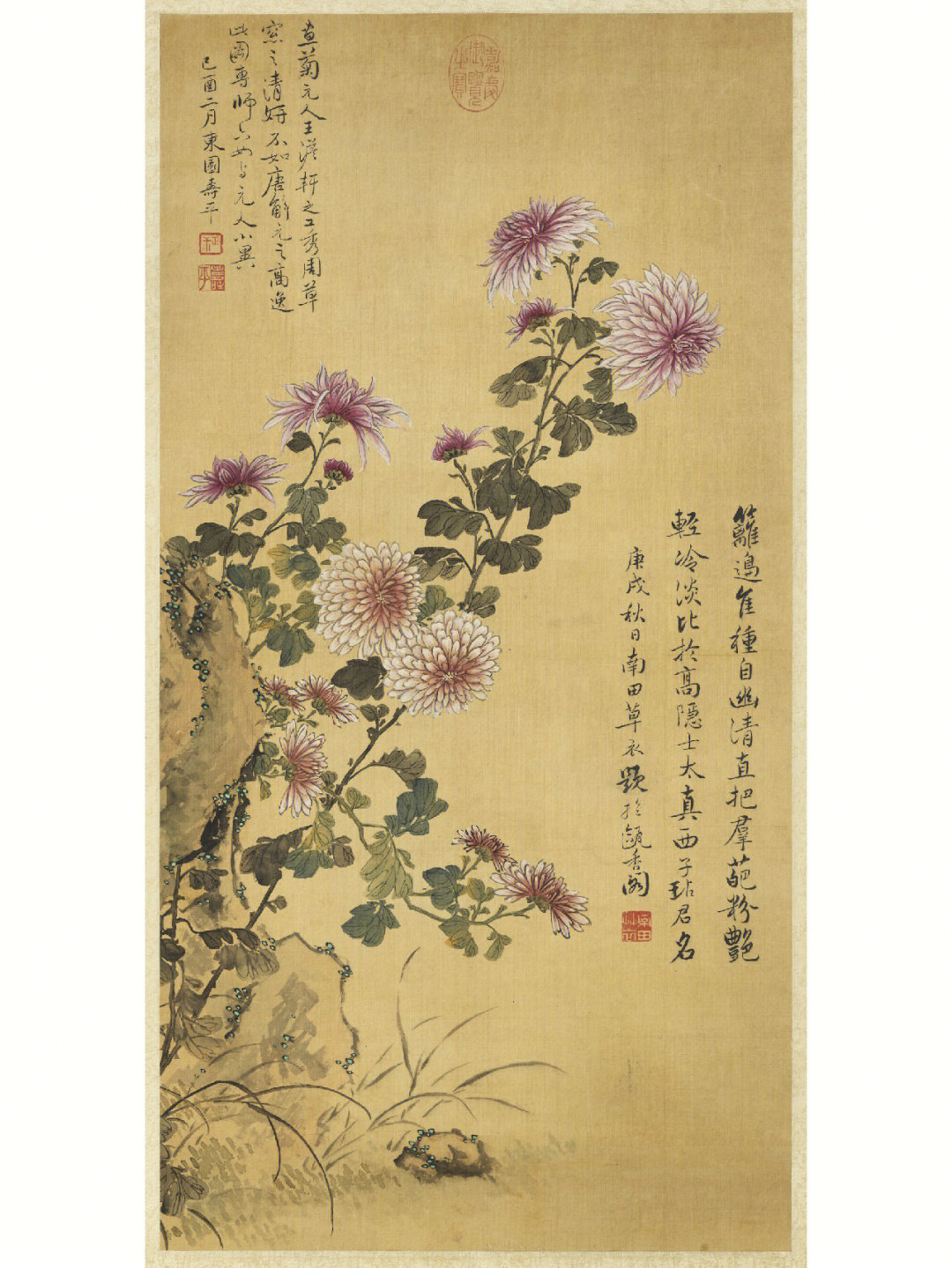 恽寿平没骨菊花画法图片