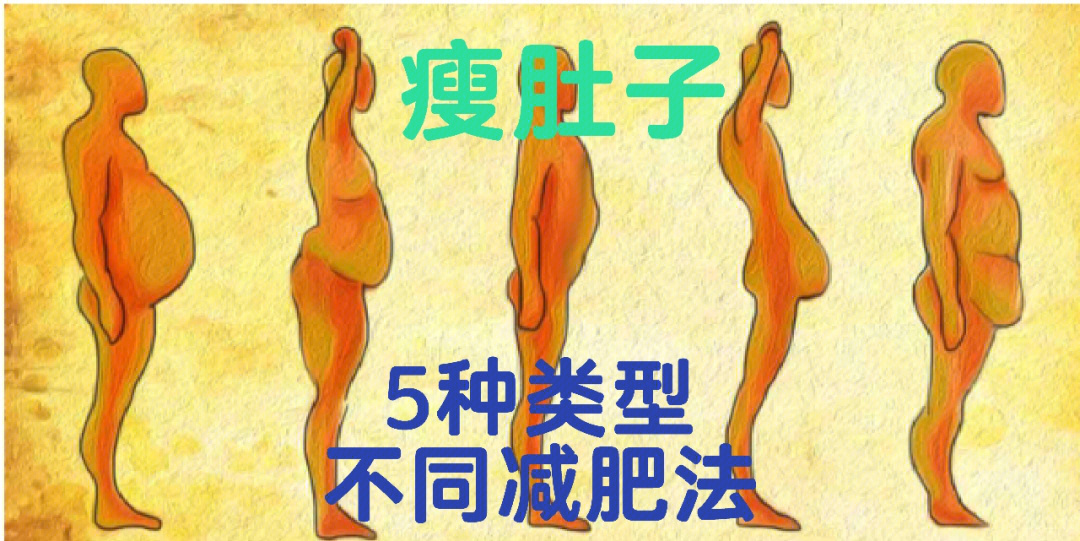 变胖过程图图片