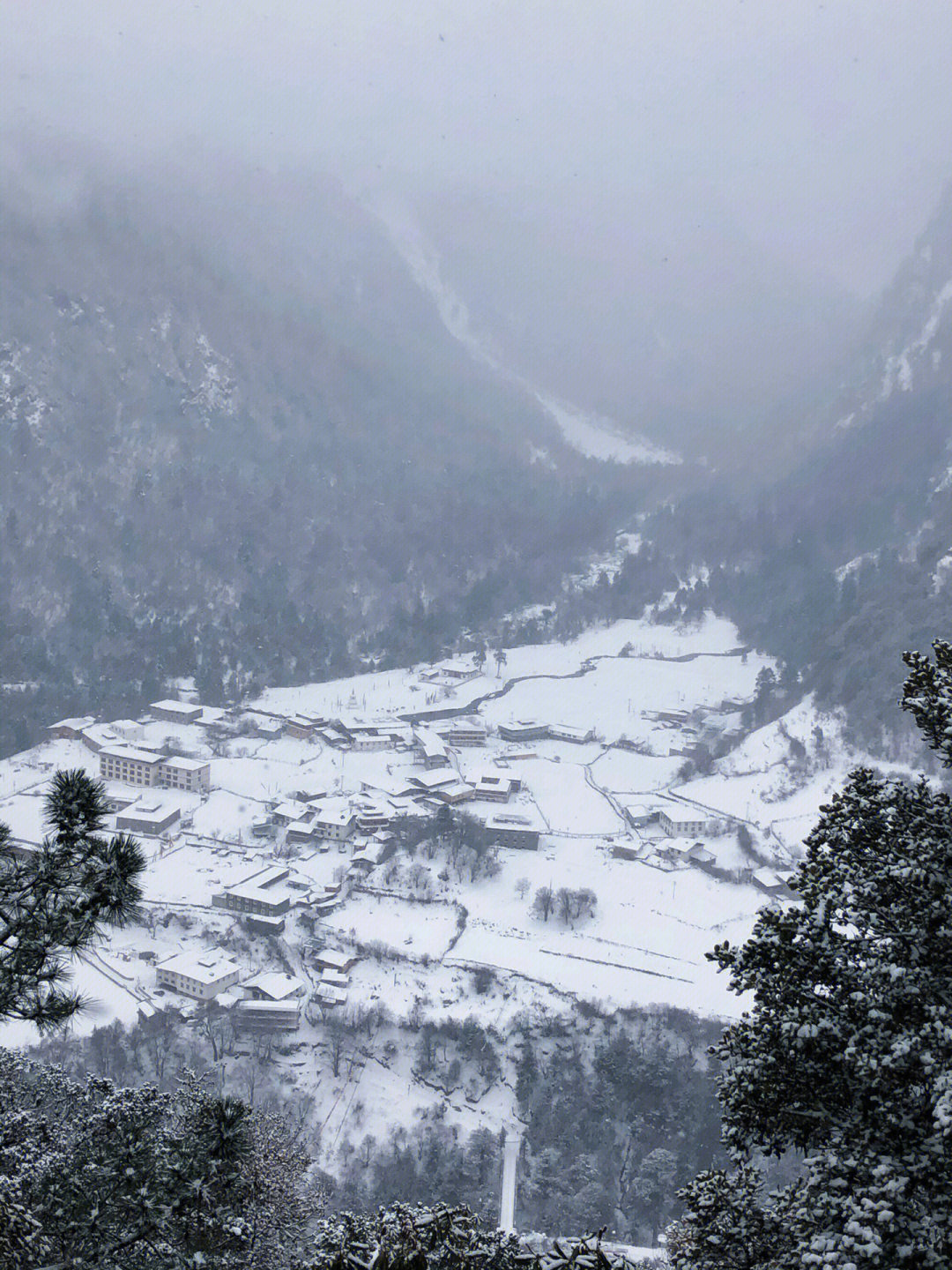 芒市苤菜坝下雪图片