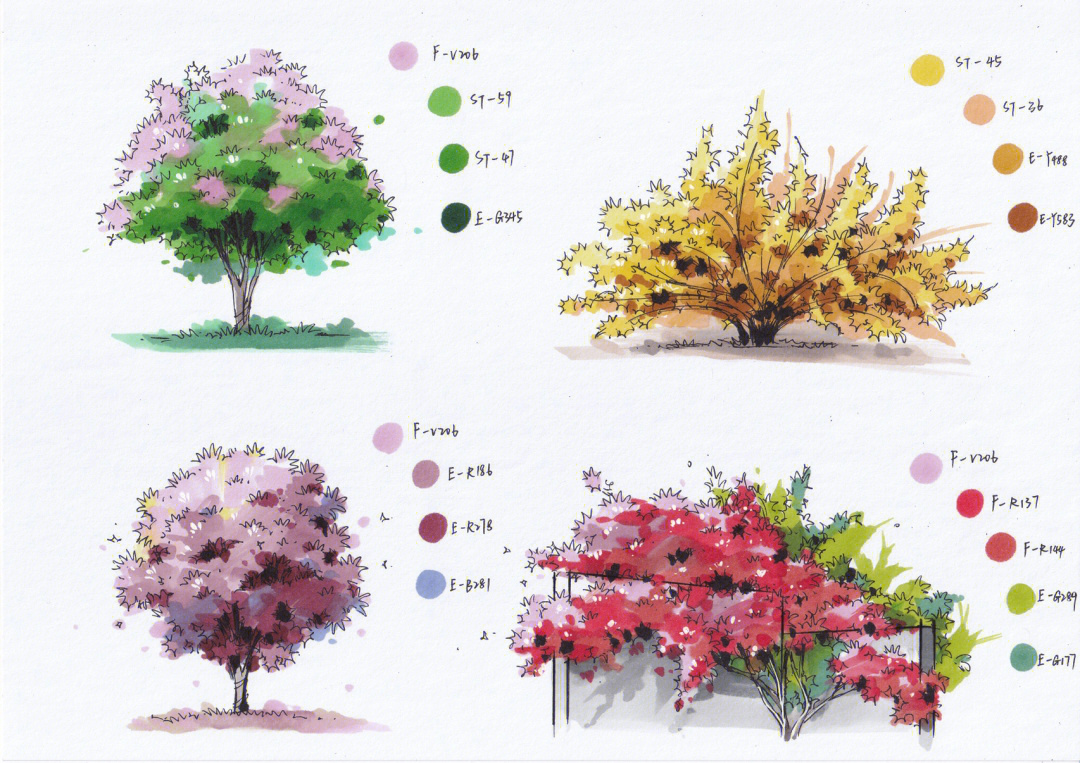 快题植物手绘灌木单体与灌木组合马克笔