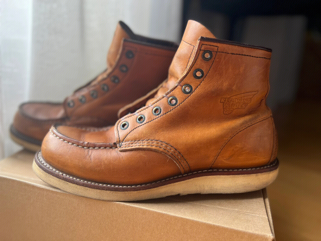 红翼redwing875