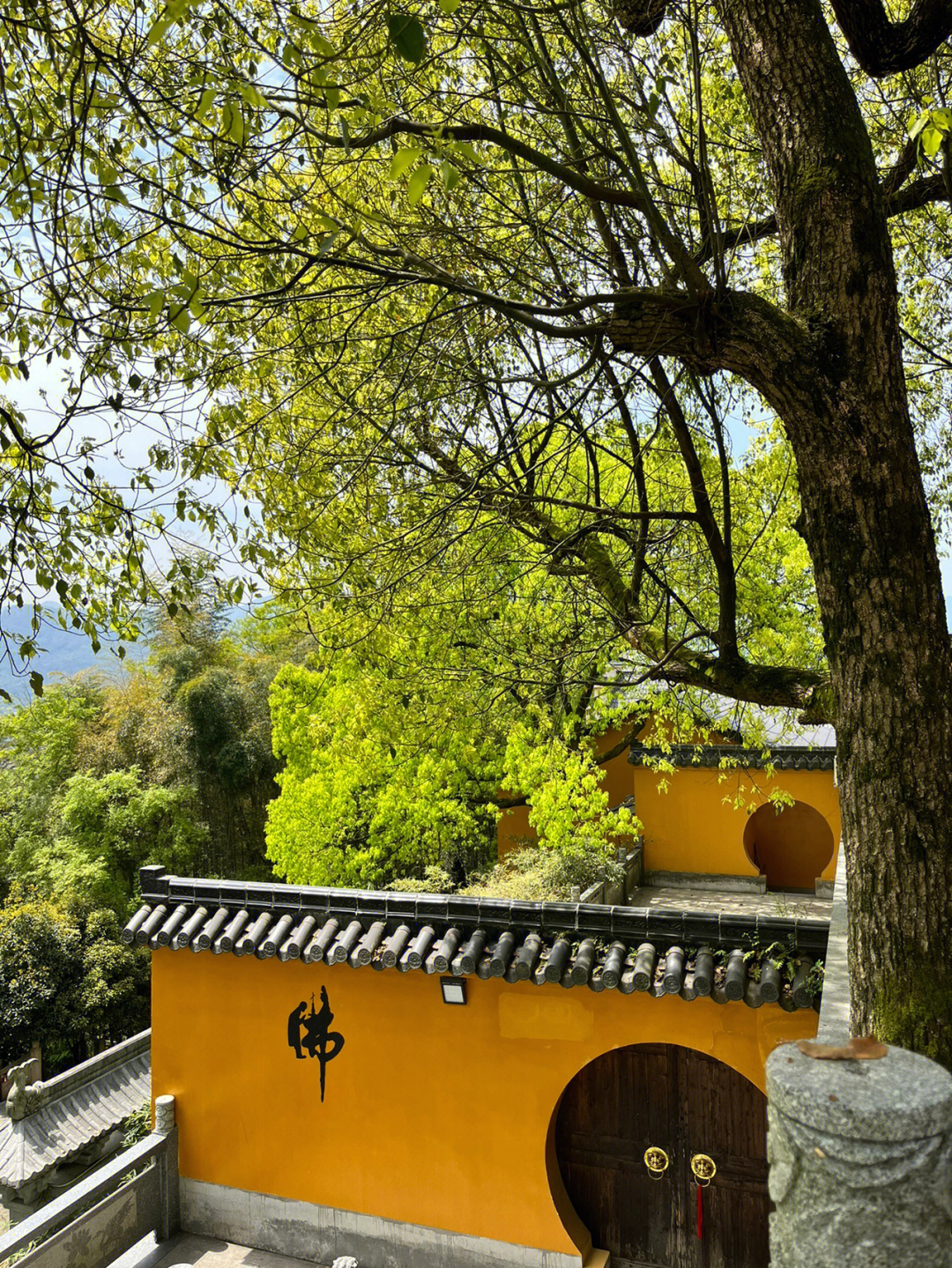 深山藏古寺古庙图片