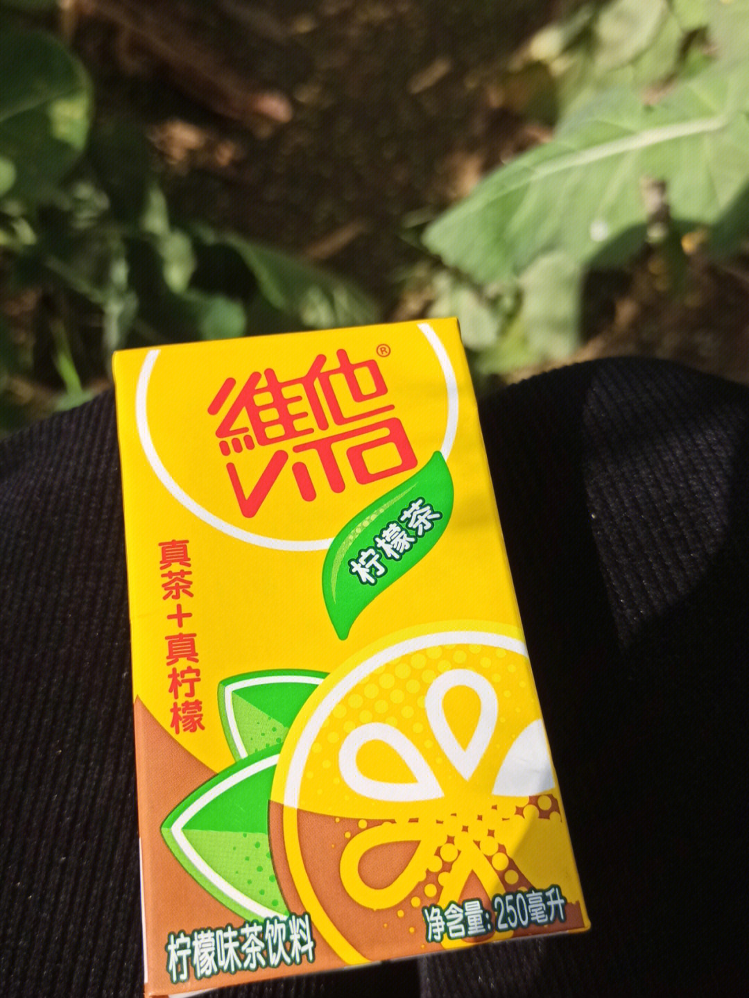 维他柠檬茶跟春天更配哦