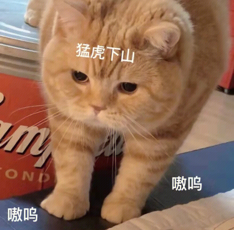 猛虎下山熊猫人表情包图片