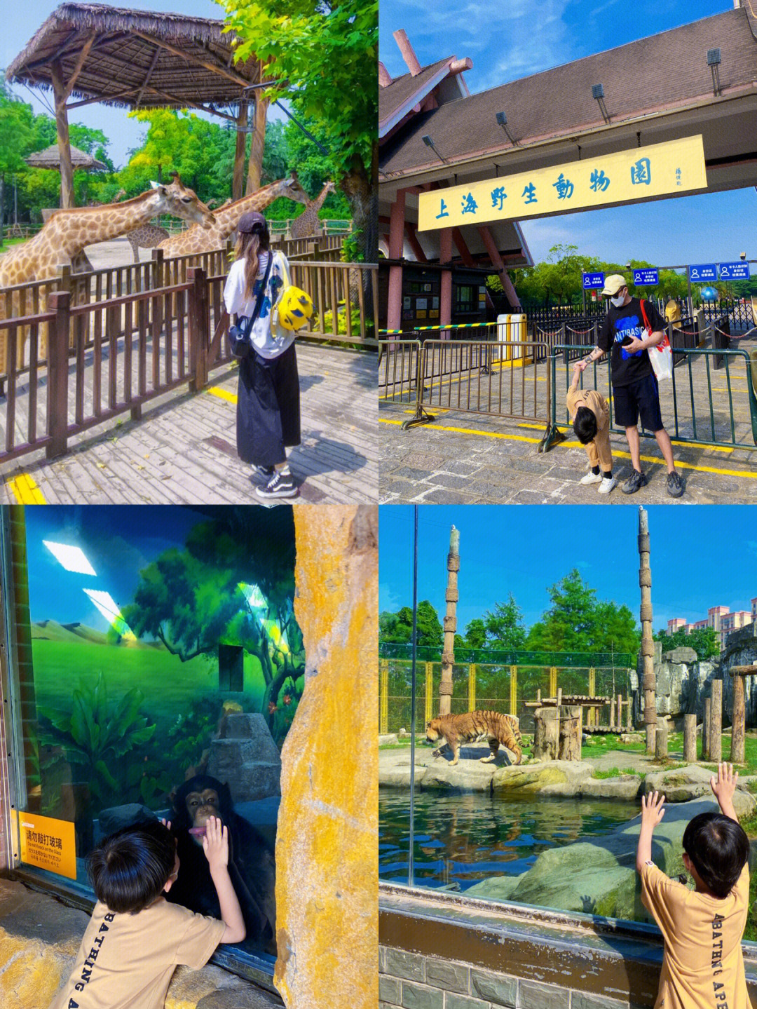 上海野生动物园几号线图片