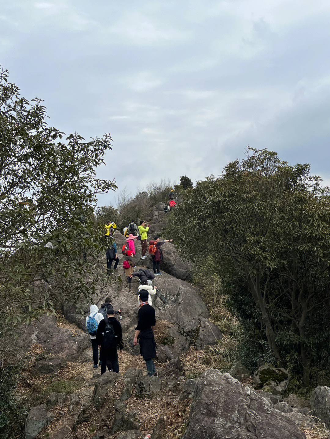 莼湖九峰山水库图片