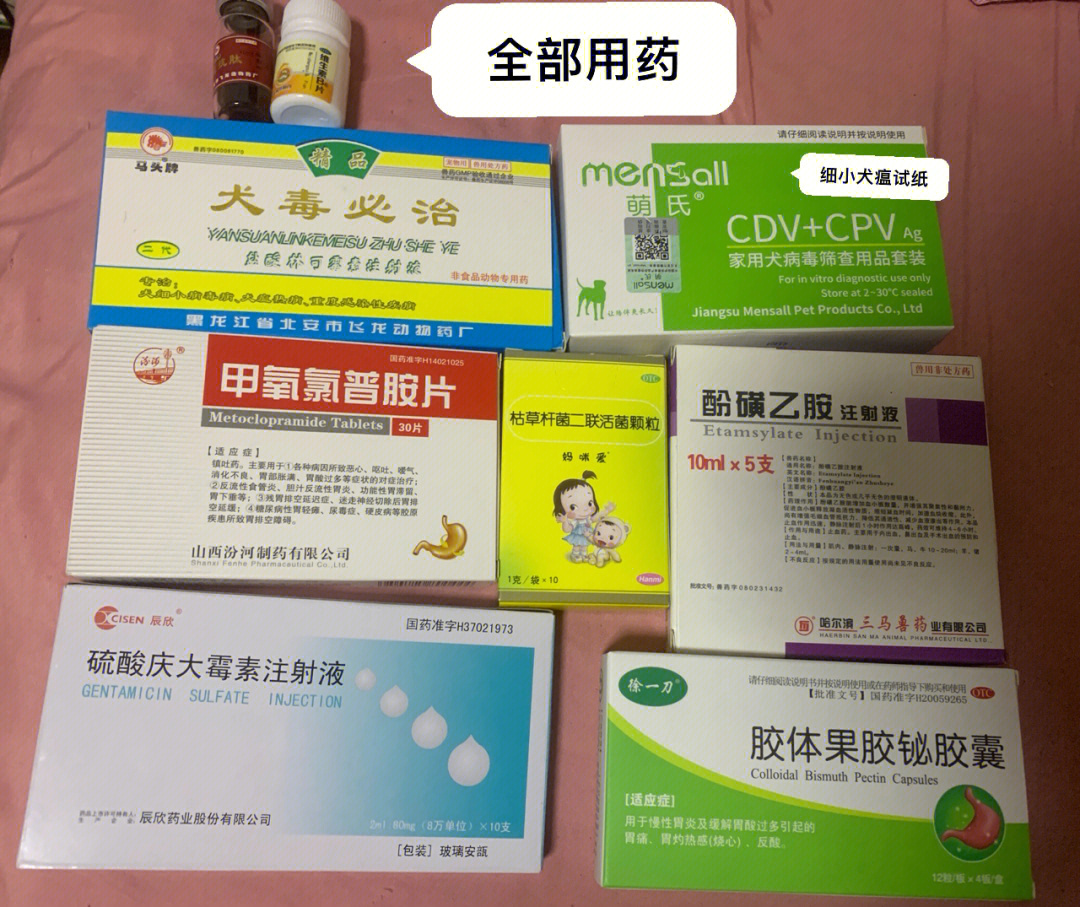 只需要庆大霉素77犬毒必治77毒瘟抗肽77止血敏77胃复安77