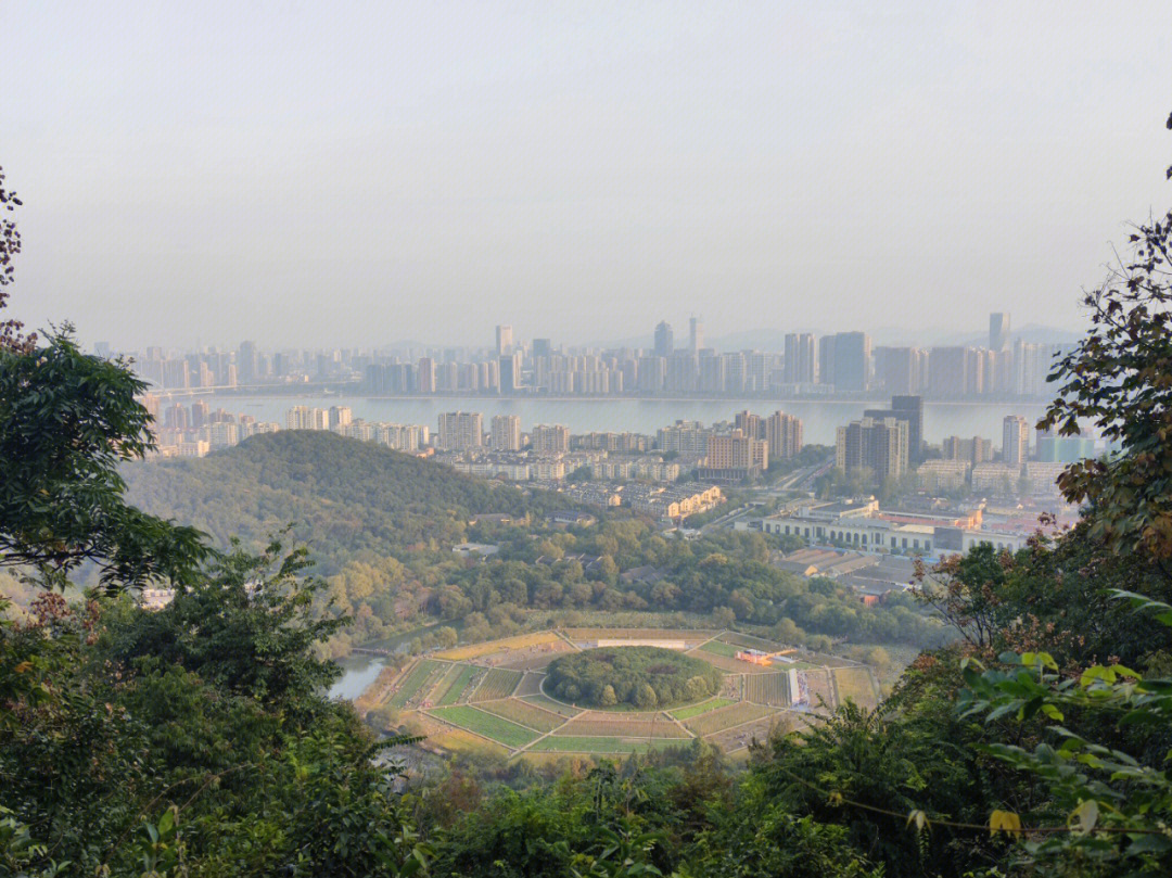 爬遍杭州的山头玉皇山八卦田遗址散步