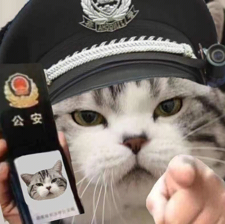 猫警察表情包图片