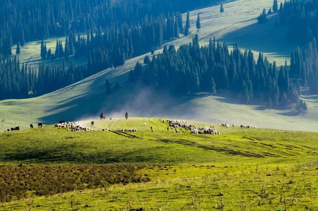 新疆伊犁那拉提草原,是中国最美的草原之一,位于新疆天山腹地,伊犁