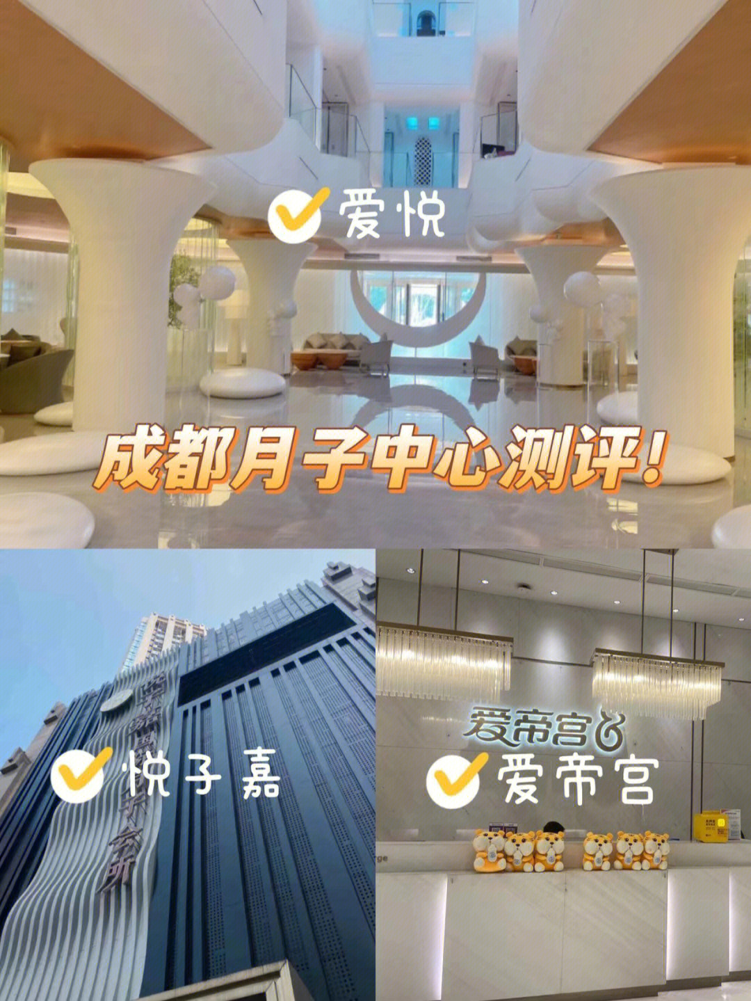 成都月子中心探店爱悦爱帝宫悦子嘉