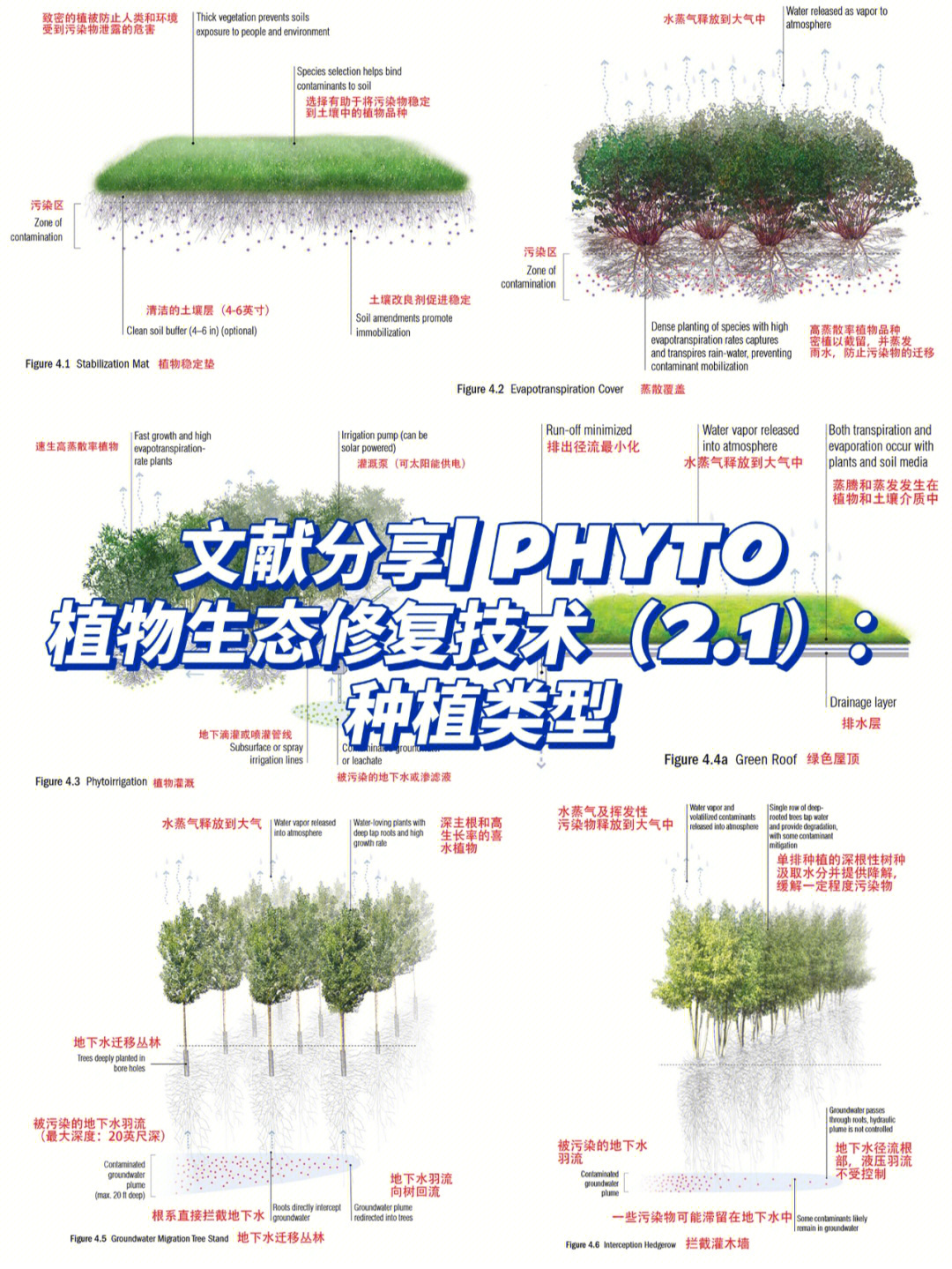 文献分享phyto植物生态修复技术21