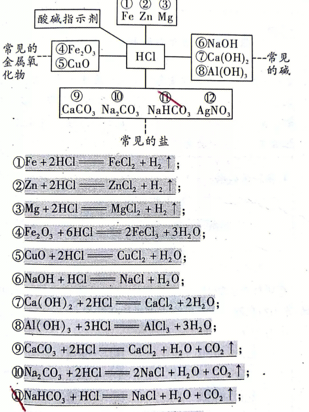 盐酸硫酸氢氧化钠氢氧化钙的化学性质