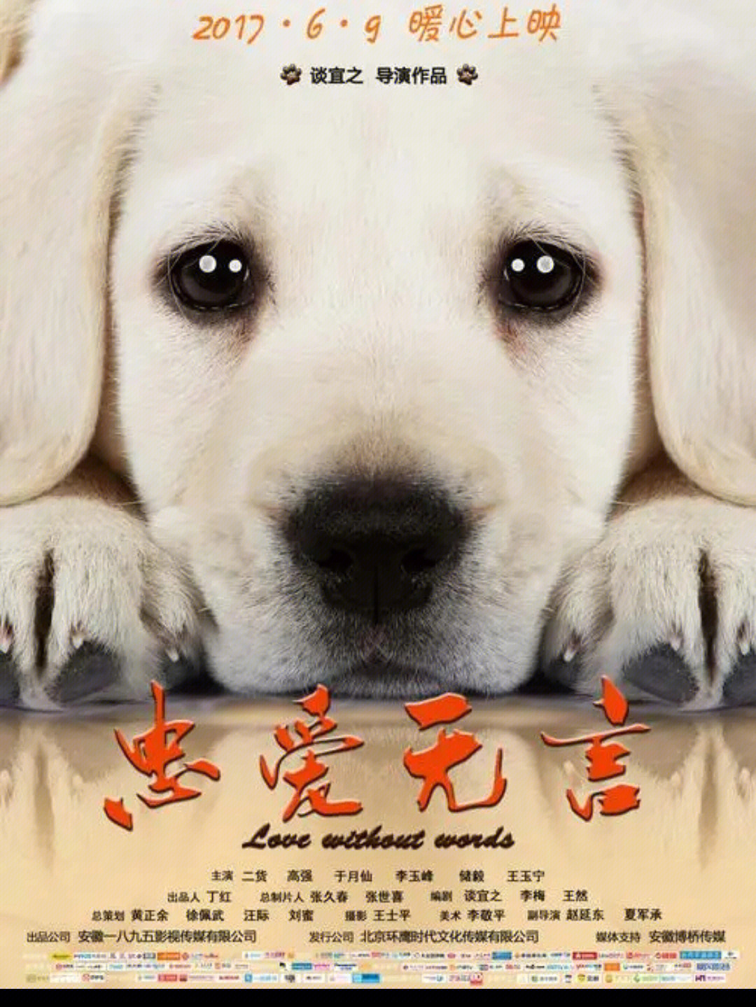 《忠爱无言《血狼犬《小q》喜欢小q,后面哭死