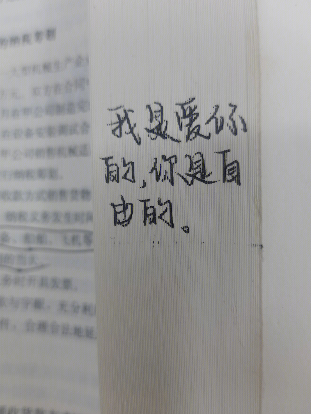 倘若我不是一时兴起呢 倘若我想身边一直是你呢 我的意思是我没说