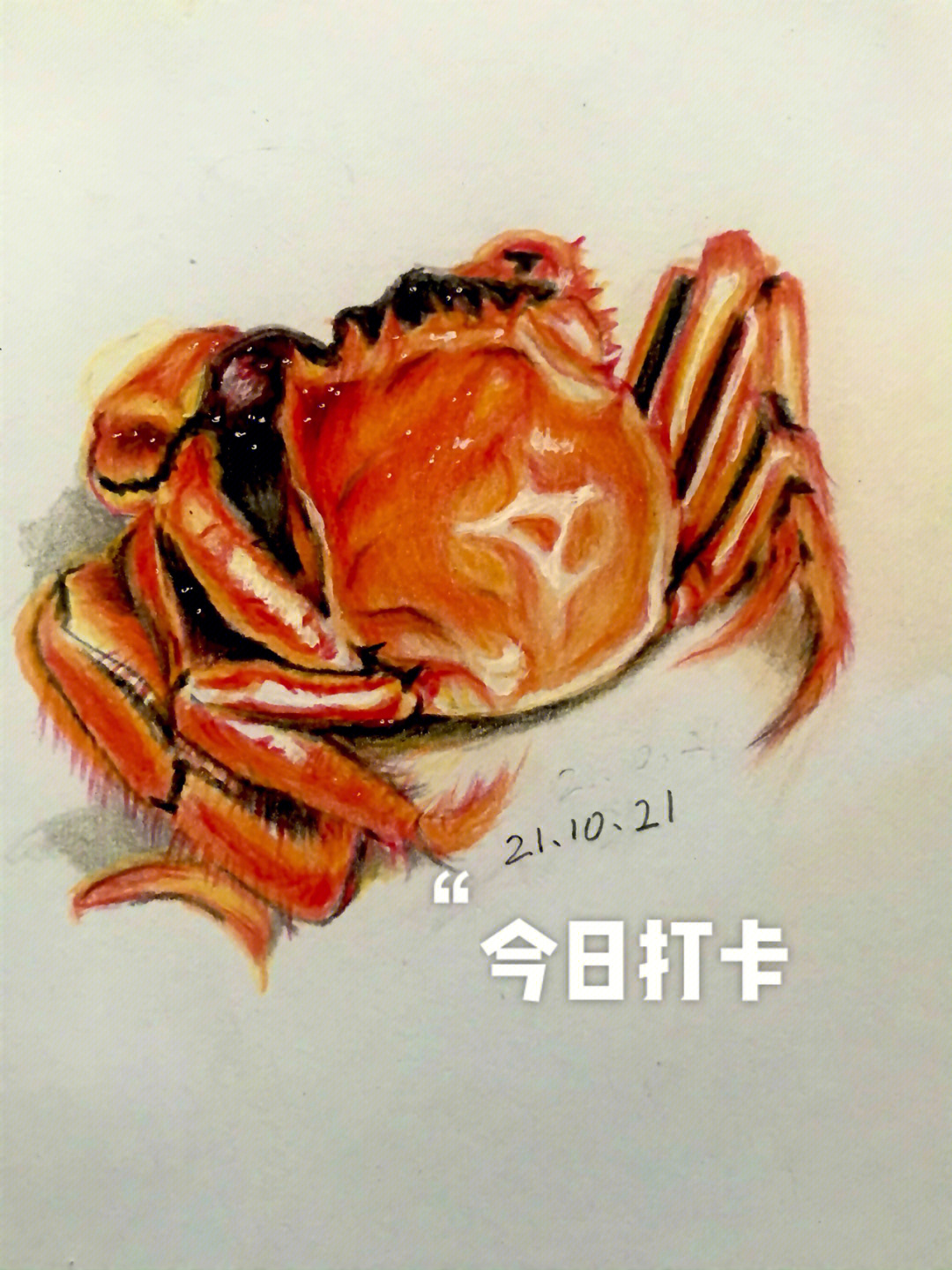 画螃蟹 彩铅图片