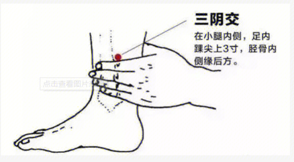 小腿五脏分布图图片