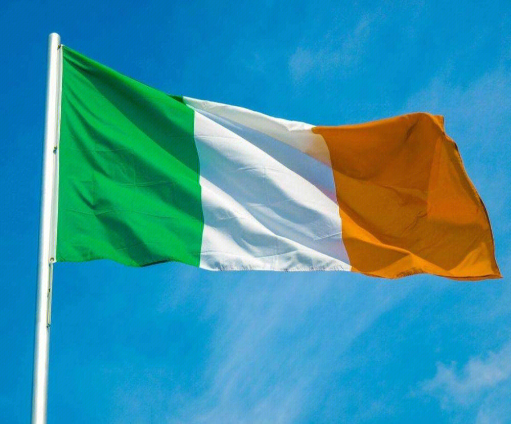 9490爱尔兰的国旗:三色旗,从左到右分别是绿,白,橙色的竖直长方形