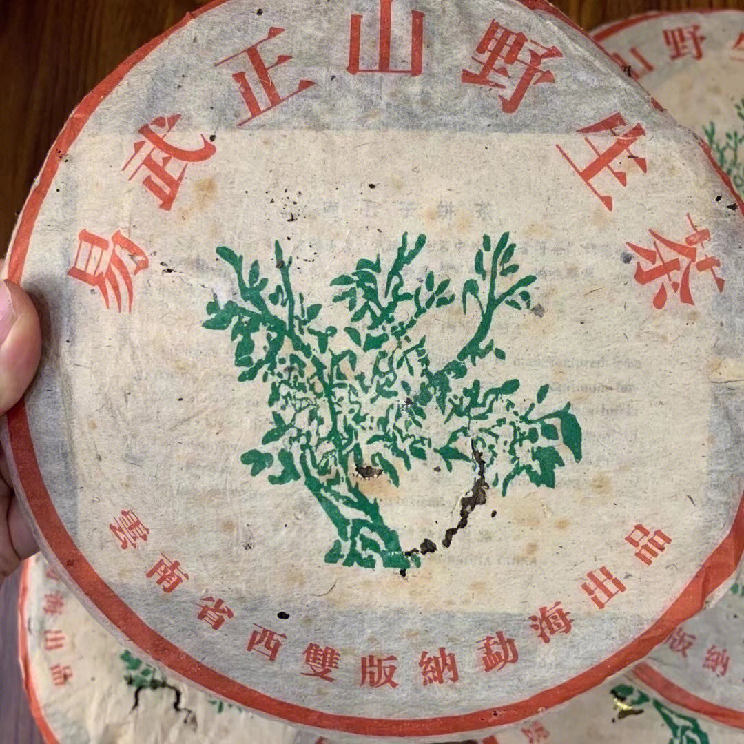 九十年代初期易武正山野生茶绿大树生普洱
