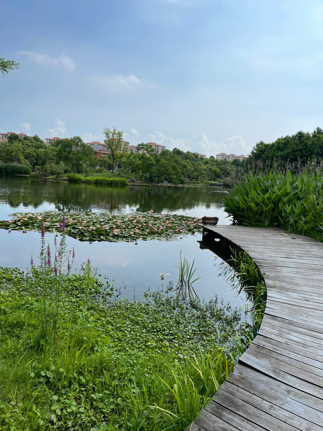 长兴岛风景图片