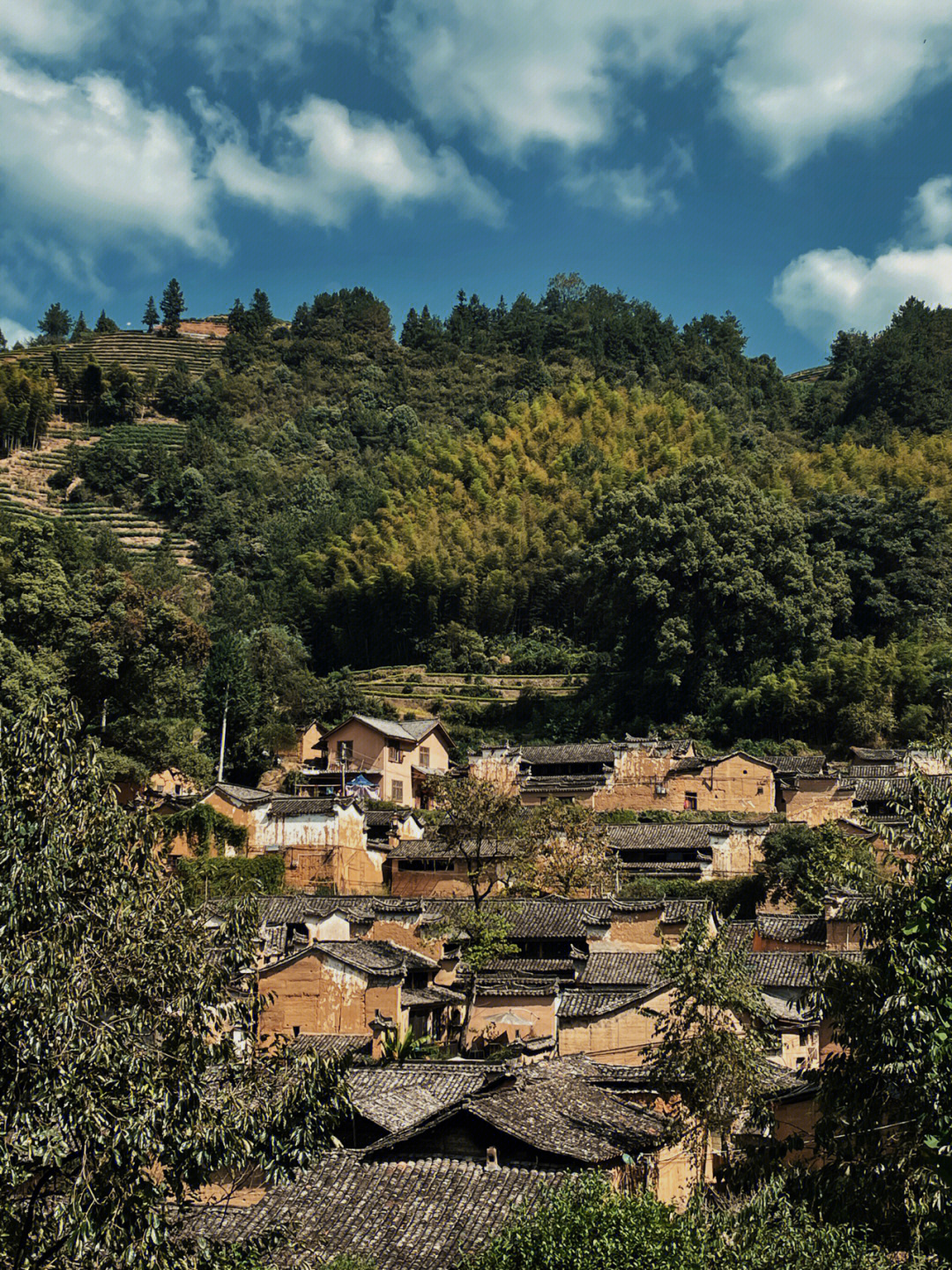 浙江松阳古村落图片