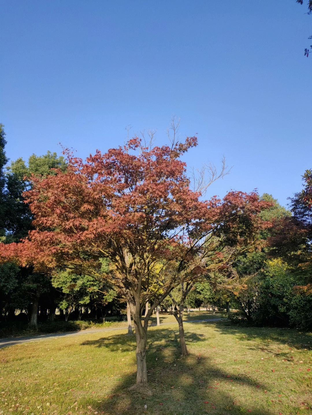 旅顺三里桥图片