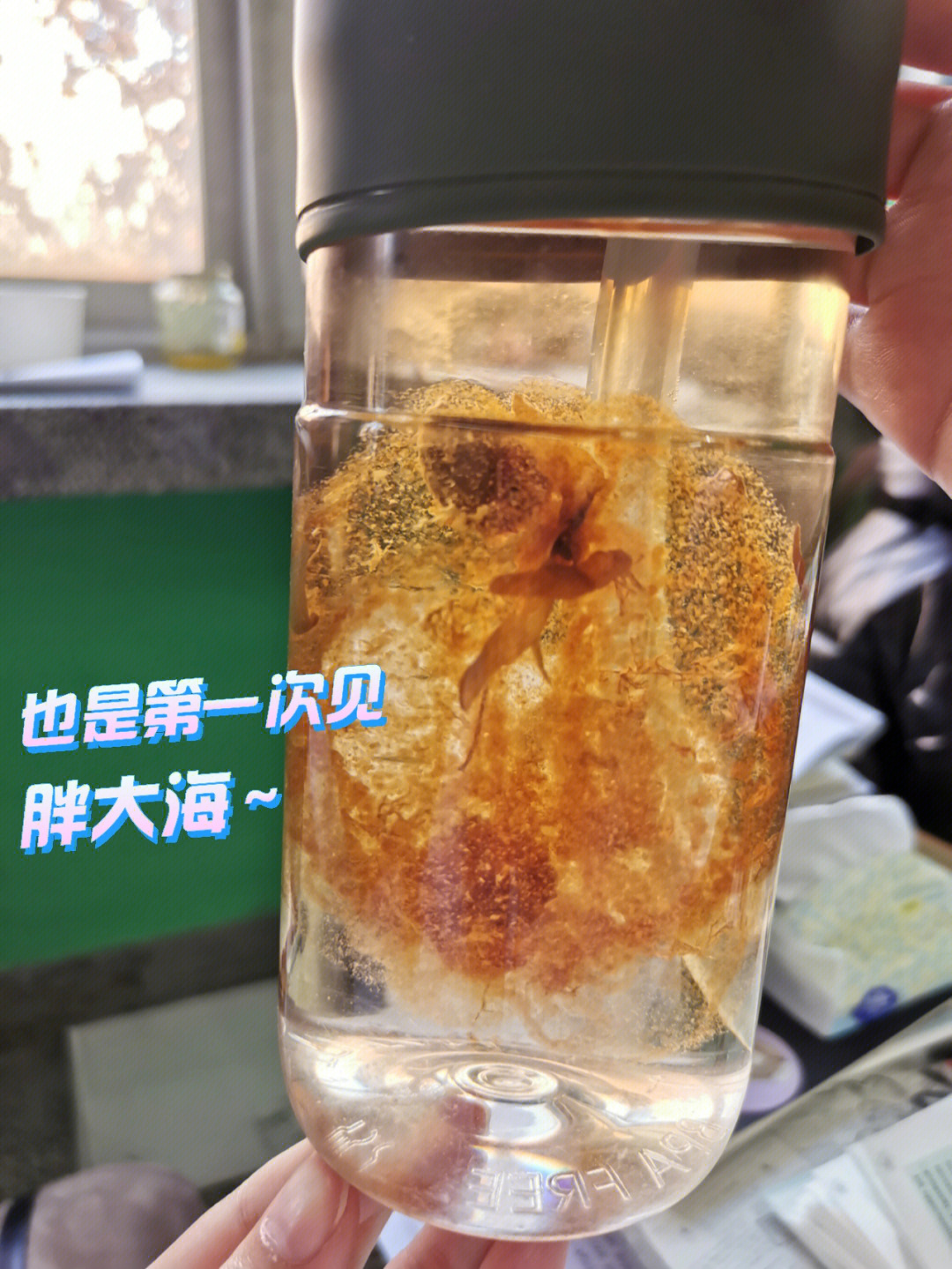 假胖大海泡开后的图片图片