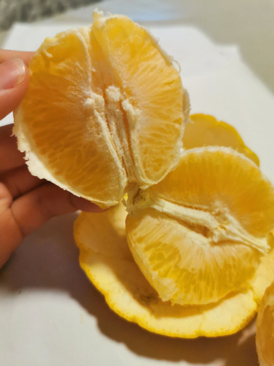 橙子打甜蜜素过程图片