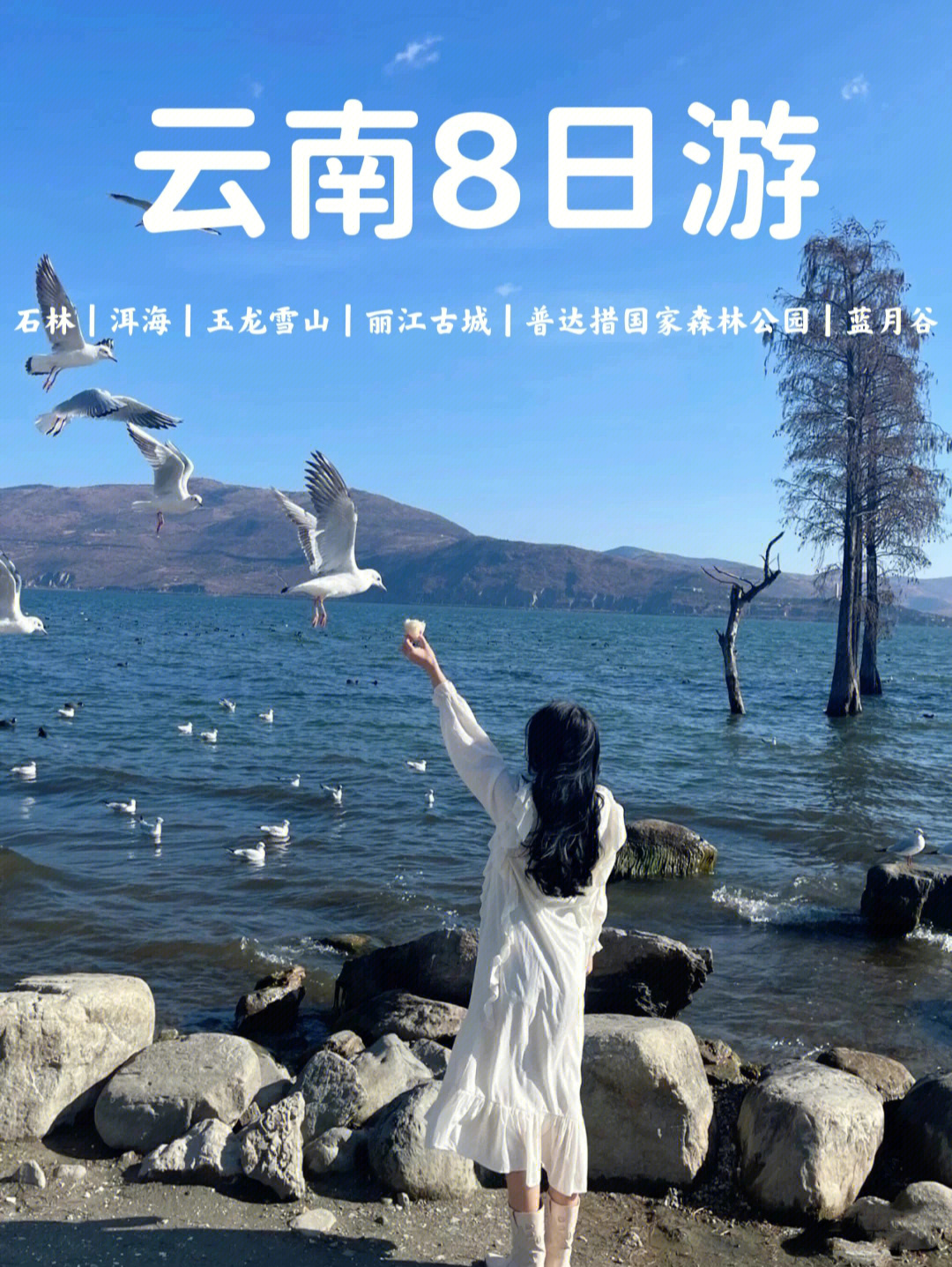 云南旅游06昆大丽香8天7晚