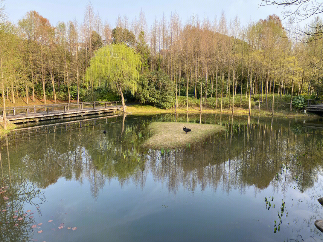 长广溪湿地公园介绍图片