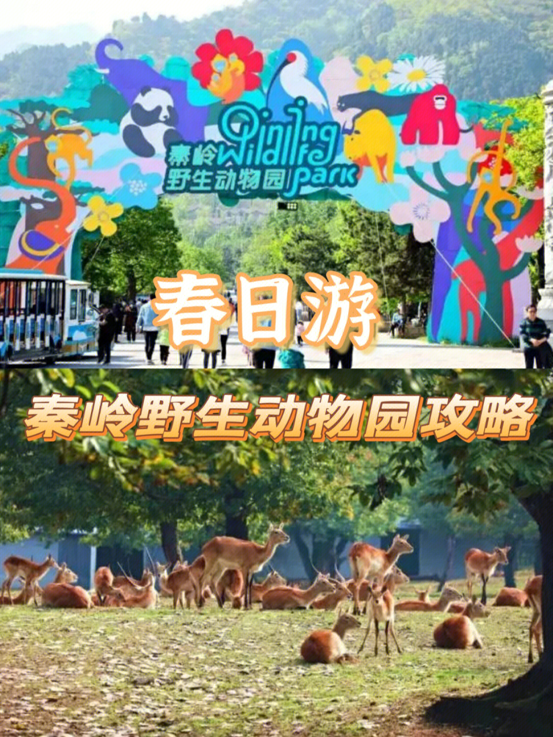 秦岭野生动物园网站图片
