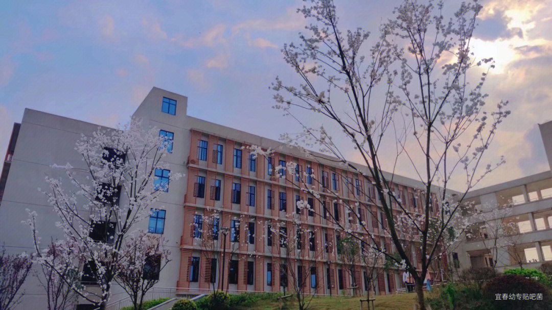 宜春幼儿师范高等专科学校