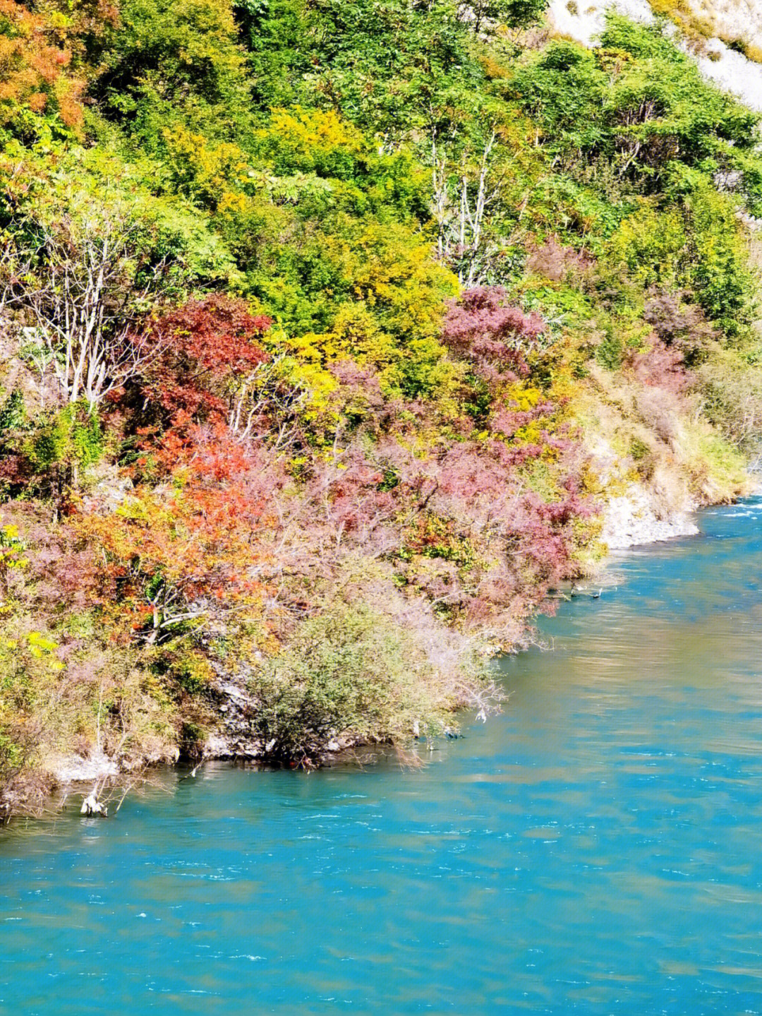 这边修水库,原本的已经没多少了,本来是打算去二古溪,猛古村看看,说