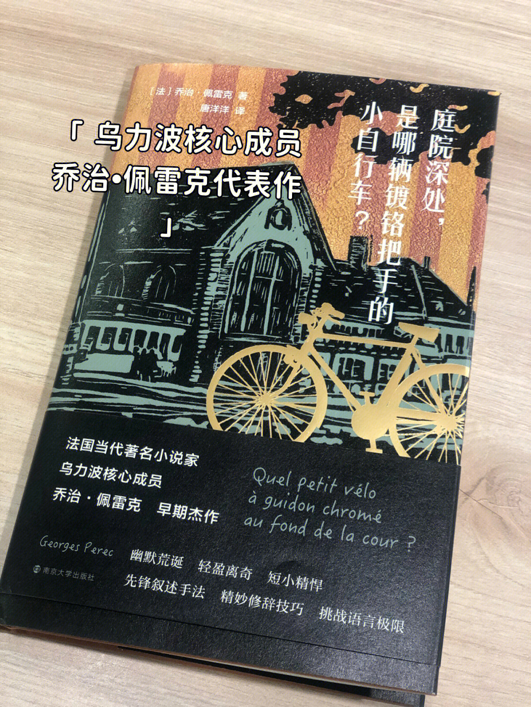 那场所有人都是配角的闹剧|乔治·佩雷克