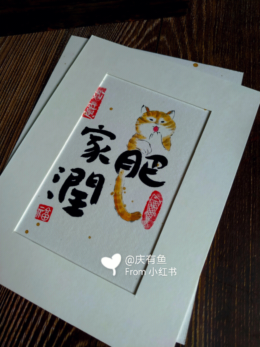 猫肥家润毛顺屎圆图片