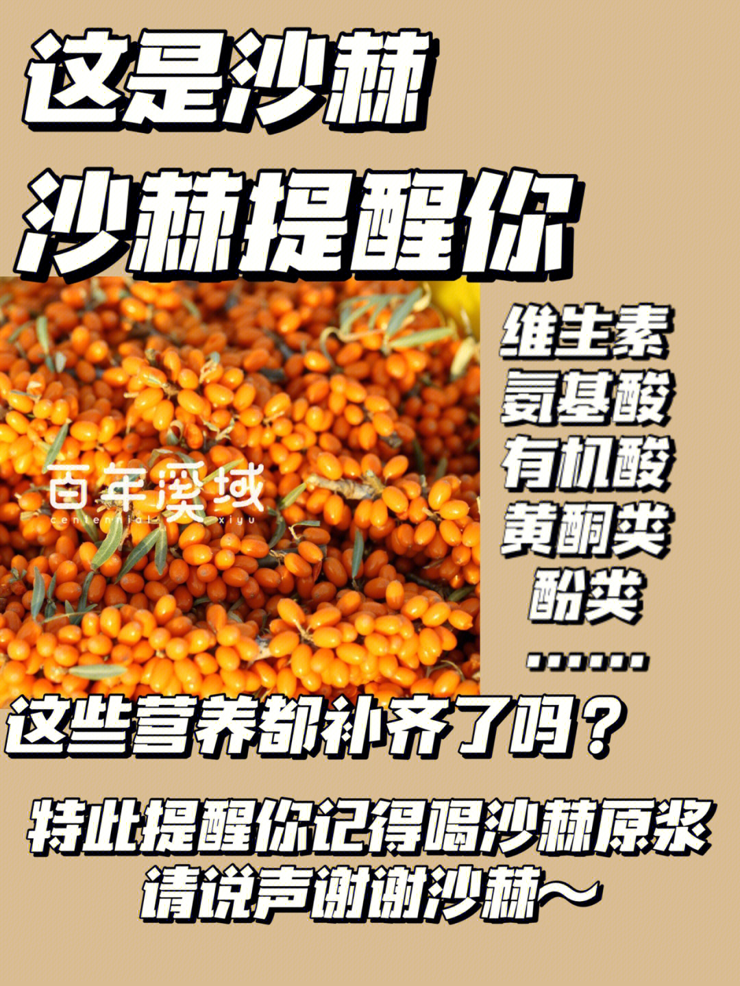 沙棘果是藏族和蒙古族常用药材,具有丰富的营养价值15(296106