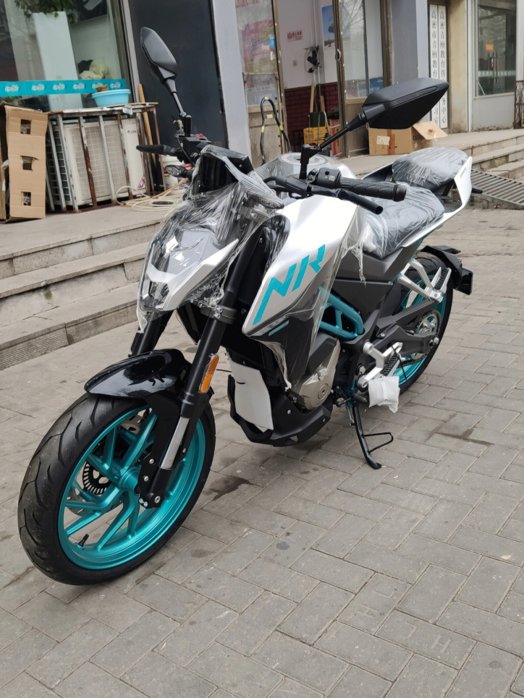 nk250狗图片