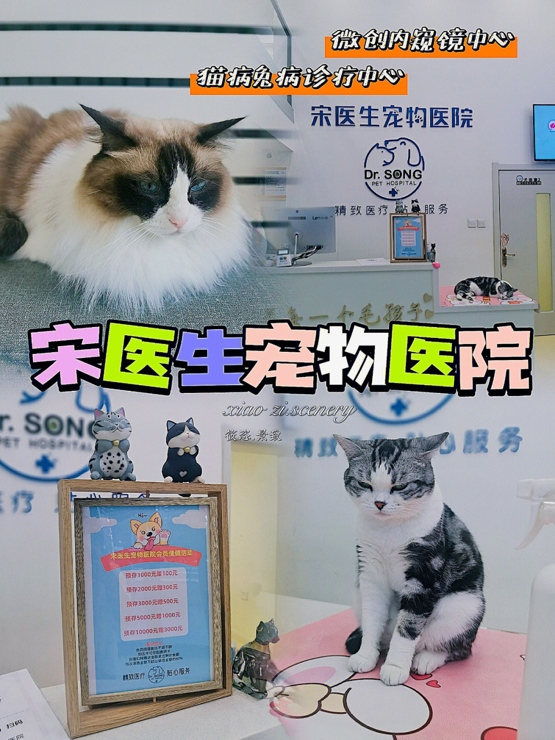 宠物医院_宠物在线医院_广州宠物乌龟的医院