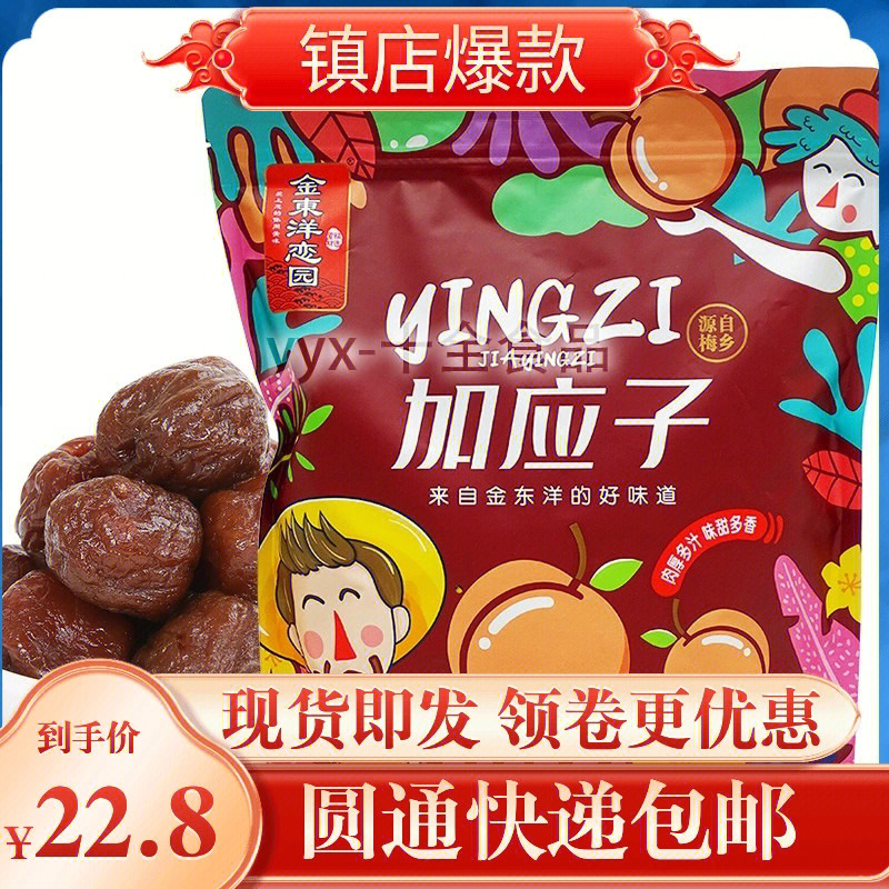 金东洋恋园加应子果脯蜜饯年货