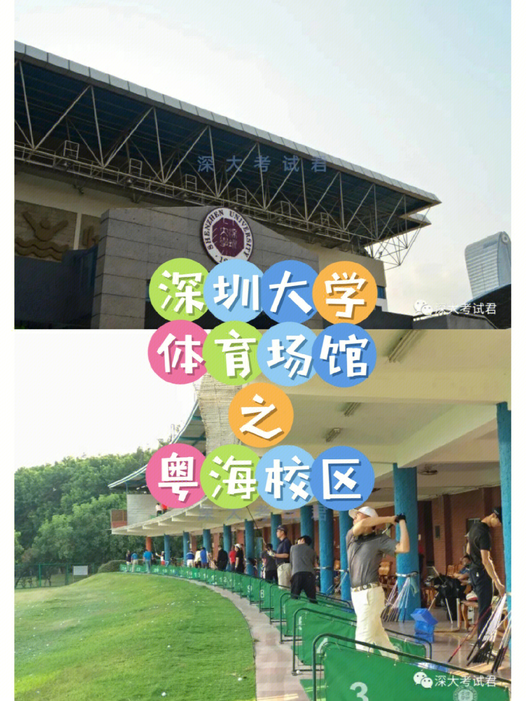 深圳大学体育馆图片