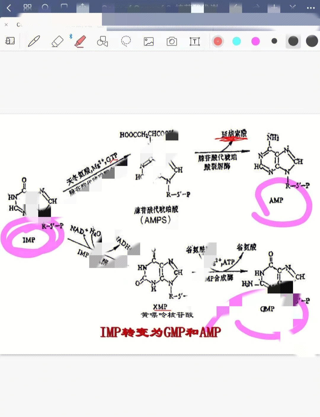 谷氨酸钠工业制法图片