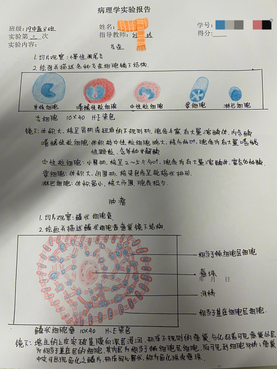 嗜碱性粒细胞手绘图片图片