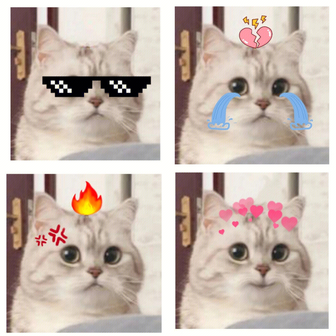 超天酱猫咪表情包图片
