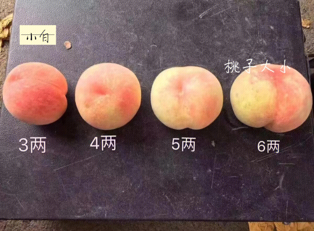 第一张图是桃子大小重量,桃子有小果中果大果,虽然价格一样但是口感不