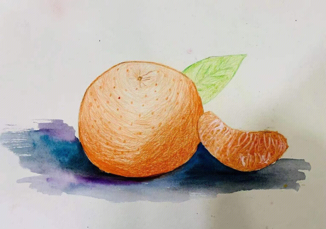 质感和细腻儿子画的单色彩铅水果