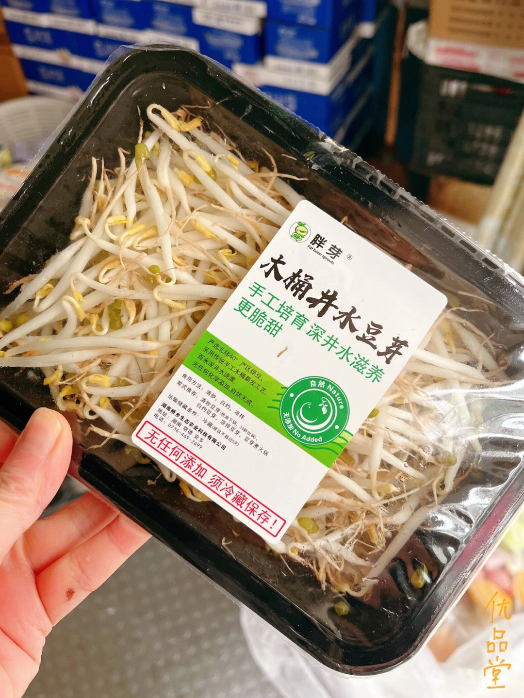 胖豆芽