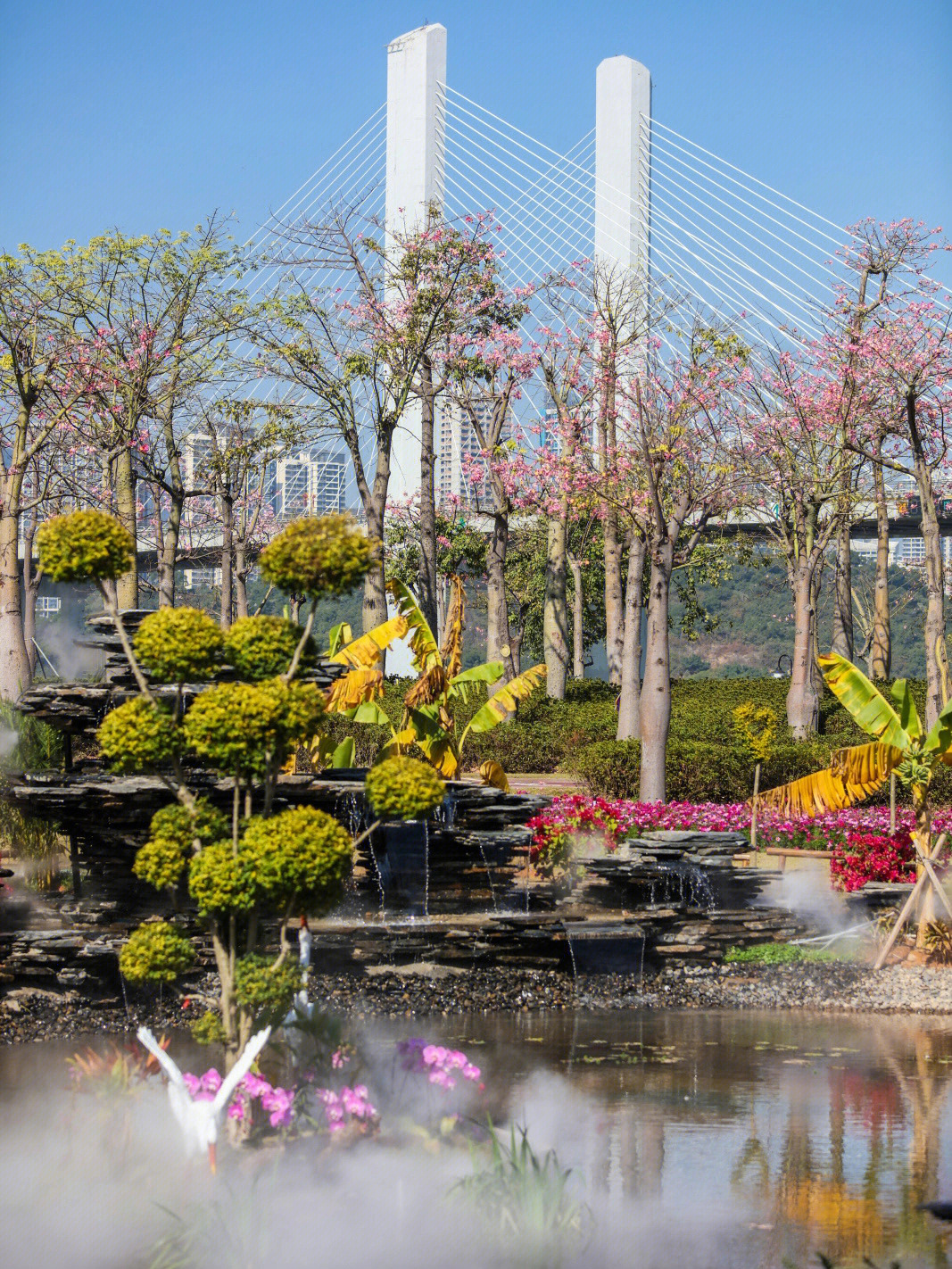 横琴十里花海长廊地址图片