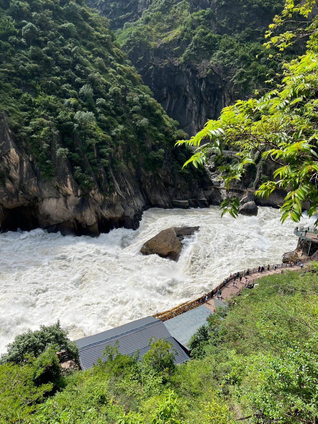 但是所有大巴都停在上虎跳峡的停车场,景区入口就在